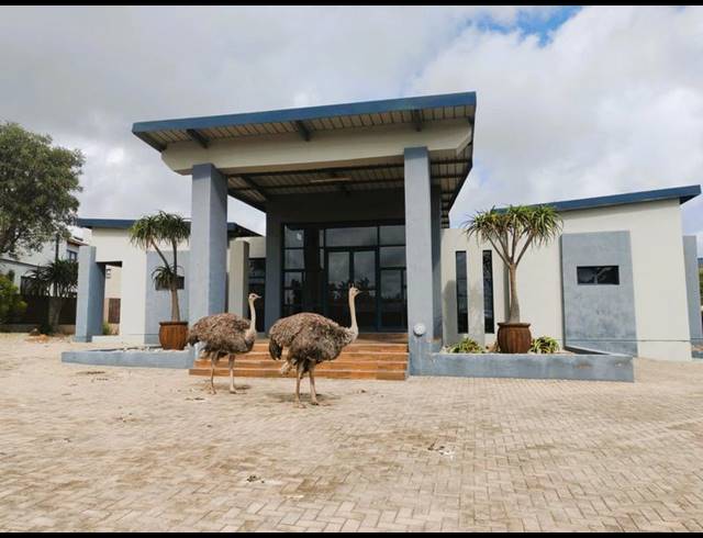 LAND FOR SALE IN CELTIC LODGE ECO ESTATE